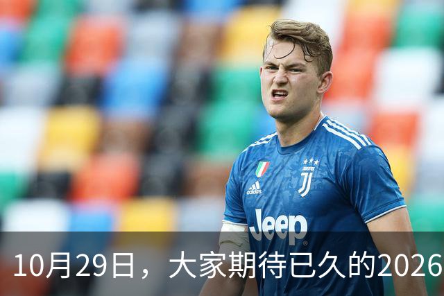 10月29日，大家期待已久的2026退休养老金，究竟涨还是不涨？